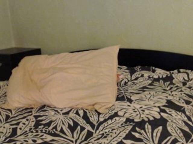 广播屏幕截图 Alissia_Kiss