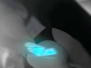 色情视频聊天 Angelusik