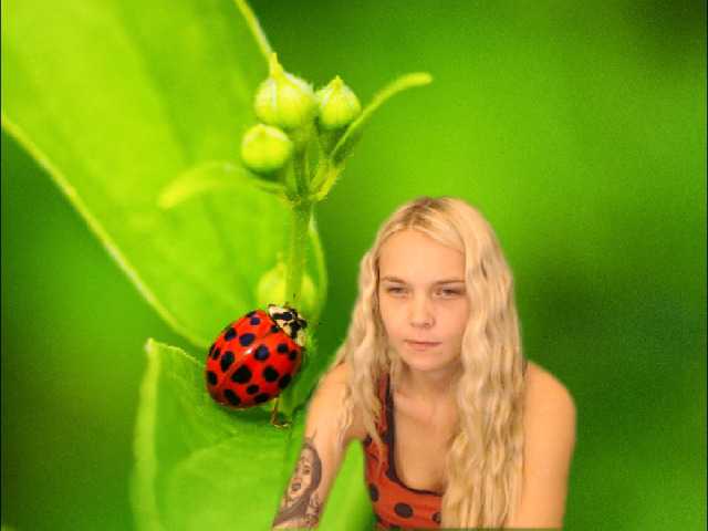 相片 AnnaHappy18 ...the story of the lonely ladybug.