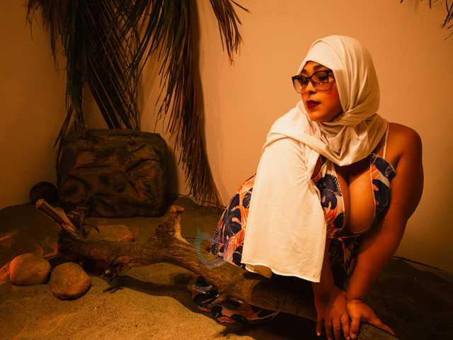 个人资料的照片 BBWHijab