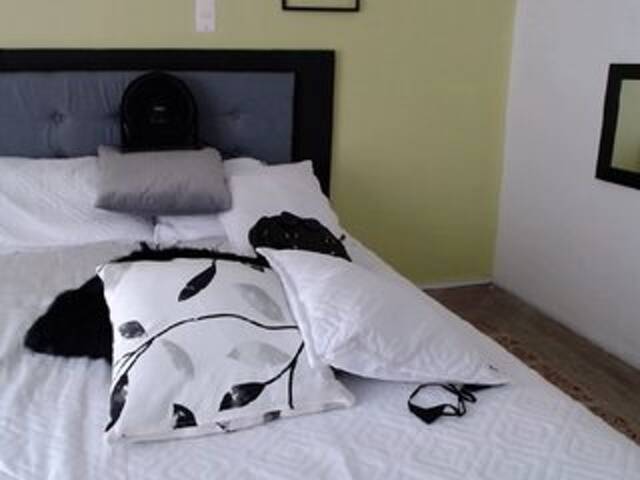 广播屏幕截图 CELESTESPICE