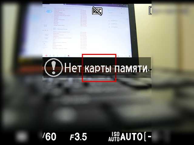 广播屏幕截图 CrazyBunnys