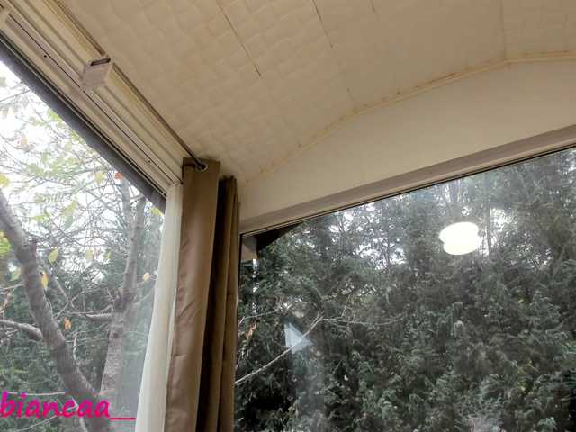 广播屏幕截图 Denise-Quinn