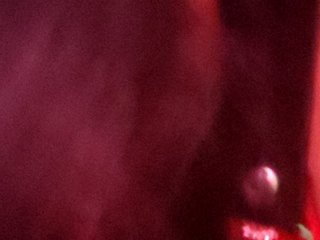 色情视频聊天 DiVona