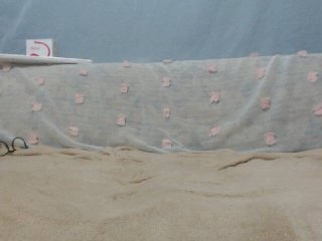 广播屏幕截图 DonnaWildJoyy