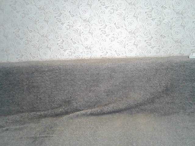 广播屏幕截图 ElegantBlonda