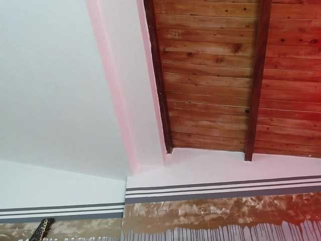 广播屏幕截图 flexylive