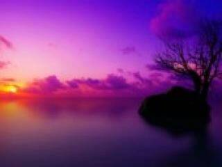 色情视频聊天 florabella