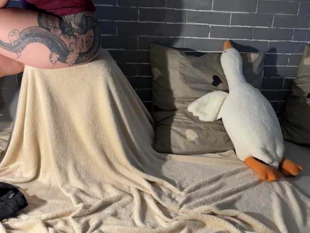 广播屏幕截图 Fox-Paws