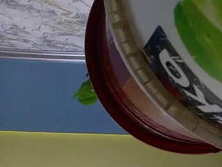 色情视频聊天 Sokovita