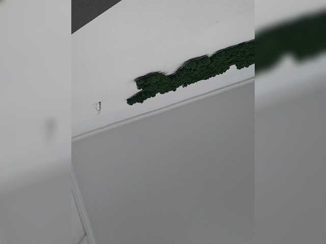 广播屏幕截图 KinkySLexie