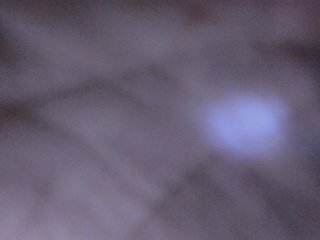色情视频聊天 latinvalery