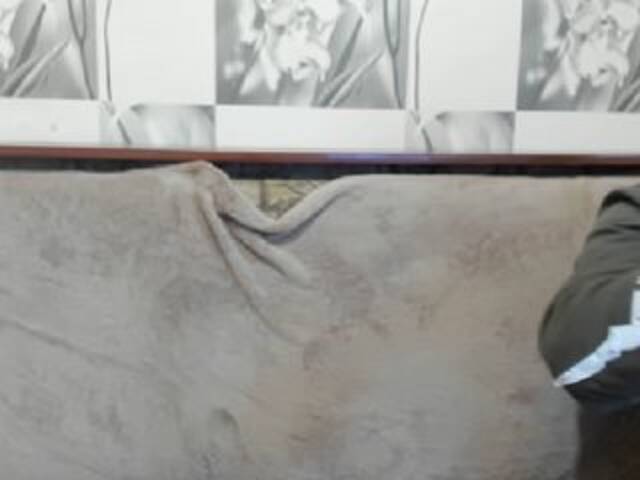 广播屏幕截图 sexyit09