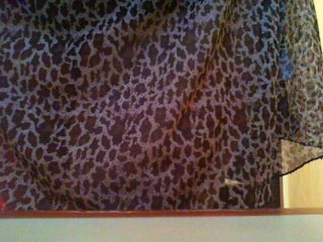 广播屏幕截图 Alena209