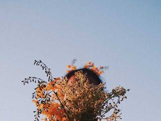 色情视频聊天 Miniiskis