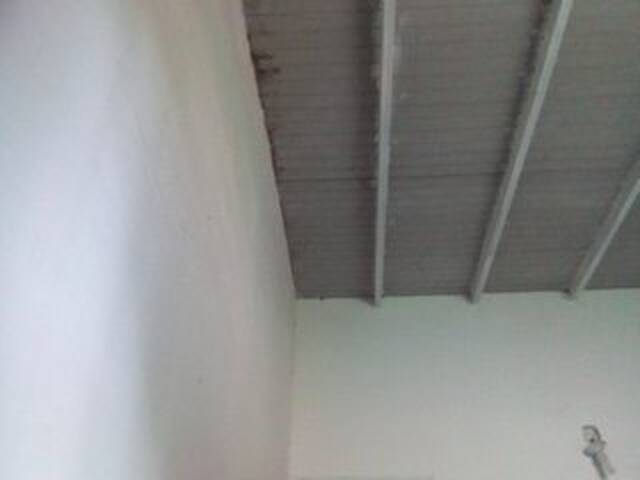 广播屏幕截图 misscute