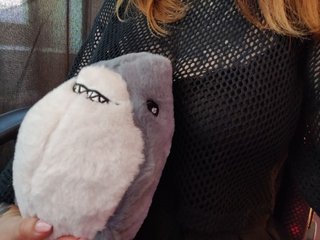 色情视频聊天 Missmedaer