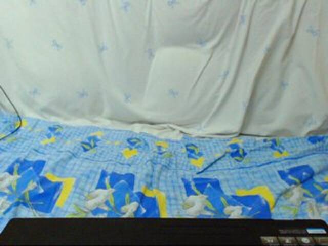 广播屏幕截图 Morphinee