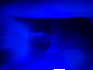 色情视频聊天 Nestiaaaaa