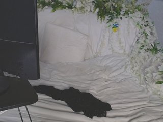 色情视频聊天 ViteR_