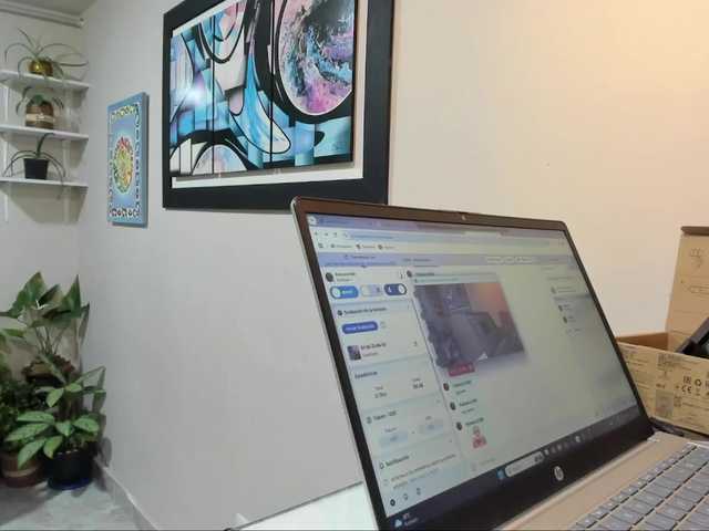 广播屏幕截图 Palmera1369