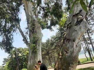 色情视频聊天 PUPI-DEL-REY