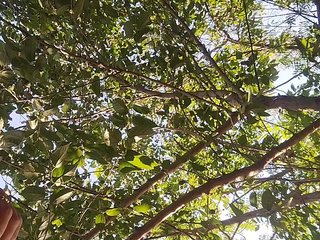 色情视频聊天 ROOMEXOTIC11