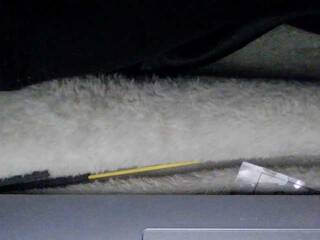 色情视频聊天 sexysapphiresweet