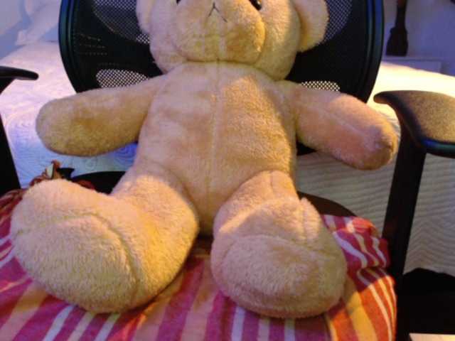 广播屏幕截图 SofiaZapata