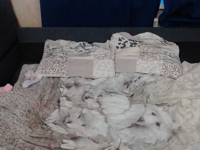 广播屏幕截图 VikiMax69