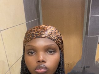 色情视频聊天 Wildcata