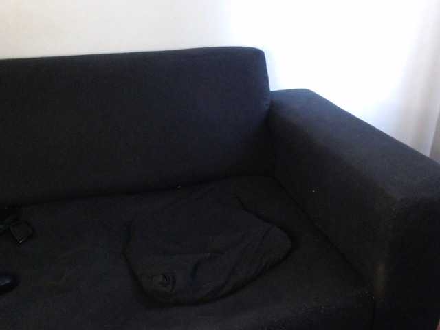 广播屏幕截图 WildPetal963