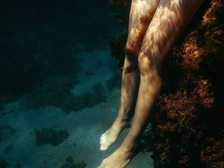 色情视频聊天 Zara2000